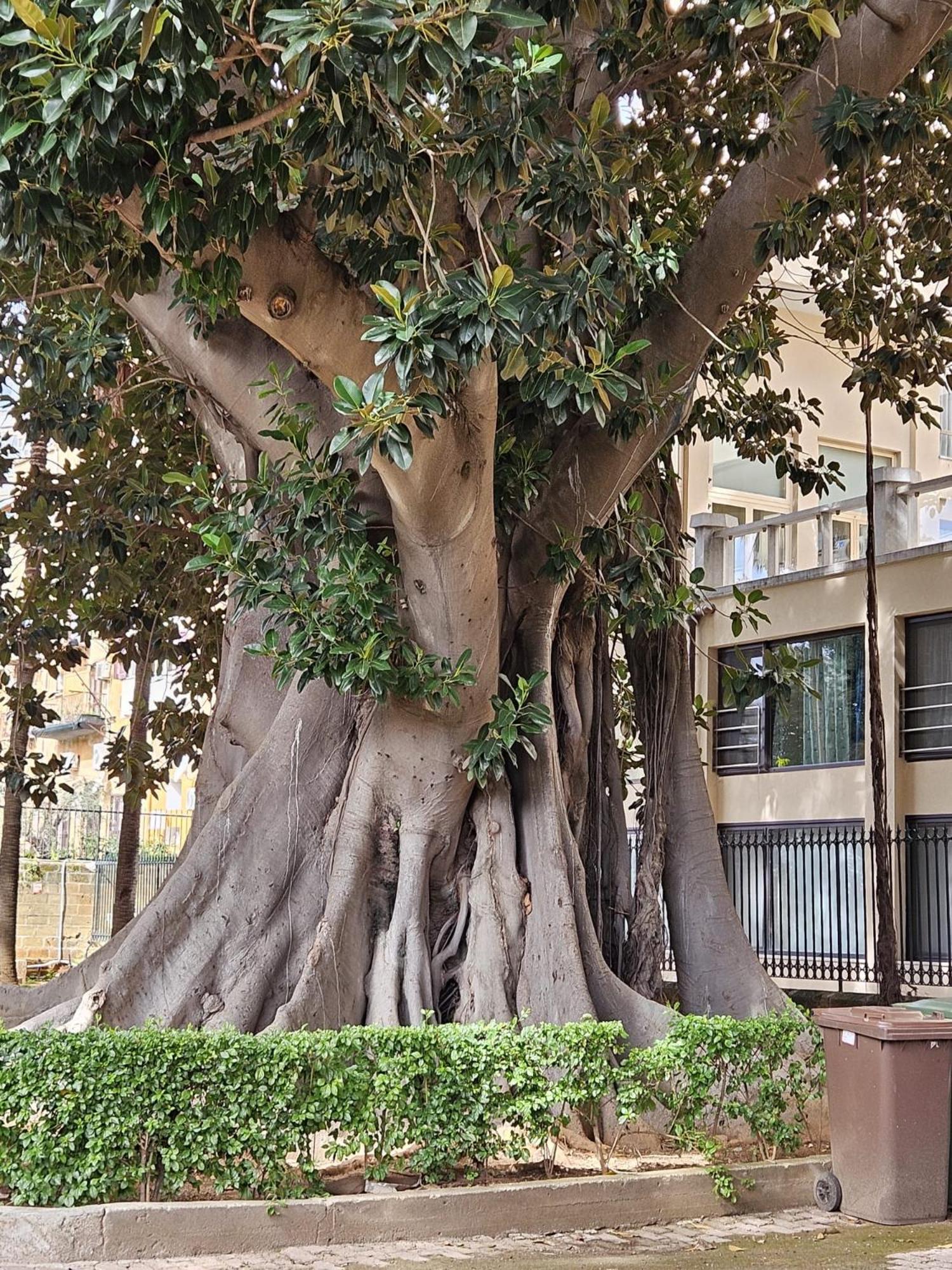 Apartament Casa Porta Nuova Palermo Zewnętrze zdjęcie