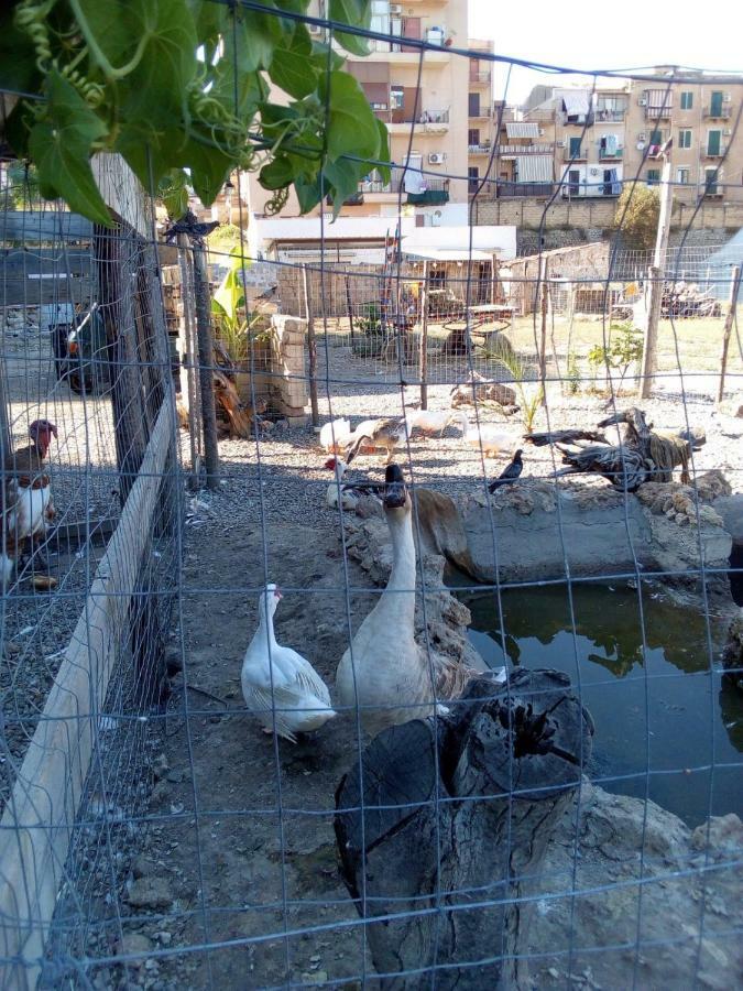Apartament Casa Porta Nuova Palermo Zewnętrze zdjęcie